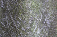 Tostock fibreglass roof work